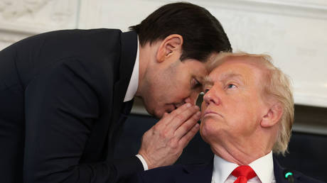 Rubio could lead Cuba – Trump