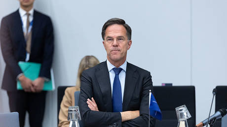 NATO chief likened to ‘McDonald’s employee of the month’
