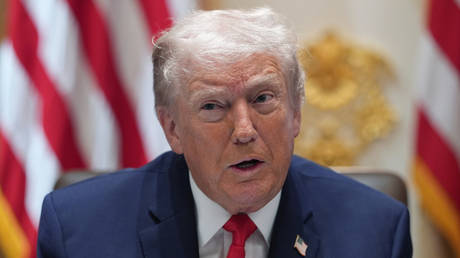 Putin agreed to halt strikes during extreme cold in Ukraine – Trump
