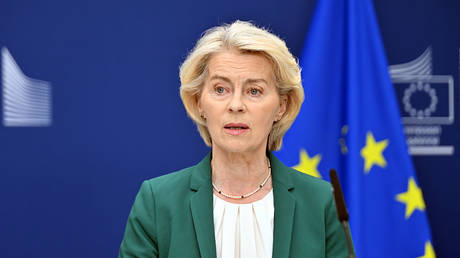Von der Leyen pushes back against Trump over Greenland